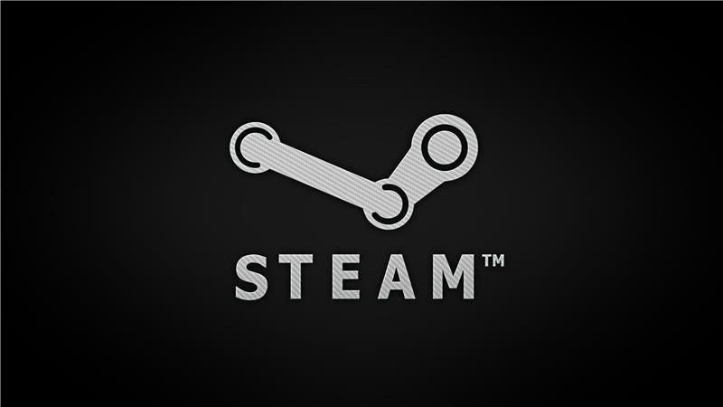 What is a Steam Disk Write Error?